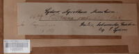 Image Associated With the Occurence